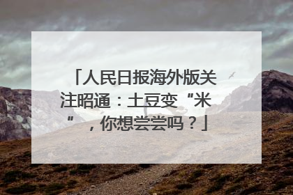 人民日报海外版关注昭通：土豆变“米”，你想尝尝吗？