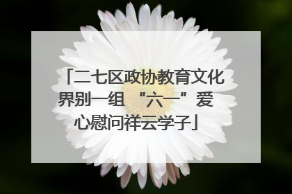 二七区政协教育文化界别一组 “六一”爱心慰问祥云学子
