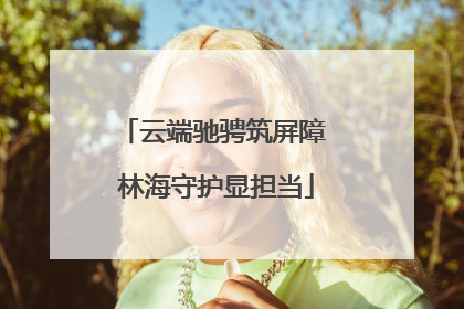 云端驰骋筑屏障 林海守护显担当