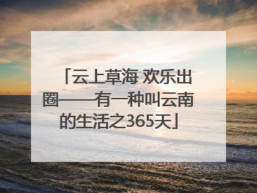 云上草海 欢乐出圈——有一种叫云南的生活之365天