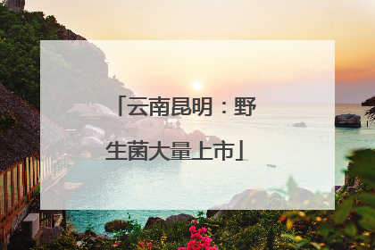 云南昆明：野生菌大量上市