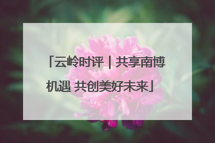 云岭时评｜共享南博机遇 共创美好未来