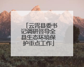 云霄县委书记调研督导全县生态环境保护重点工作
