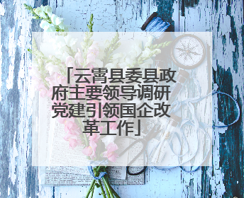 云霄县委县政府主要领导调研党建引领国企改革工作