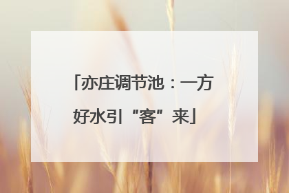 亦庄调节池：一方好水引“客”来
