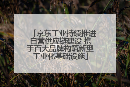 京东工业持续推进自营供应链建设 携手百大品牌构筑新型工业化基础设施
