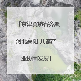 京津冀纺客齐聚河北高阳 共谋产业协同发展