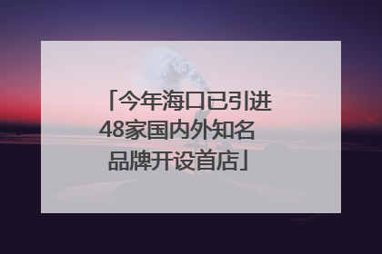 今年海口已引进48家国内外知名品牌开设首店
