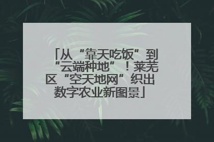 从“靠天吃饭”到“云端种地”！莱芜区“空天地网”织出数字农业新图景