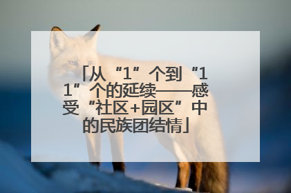 从“1”个到“11”个的延续——感受“社区+园区”中的民族团结情