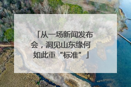 从一场新闻发布会，洞见山东缘何如此重“标准”