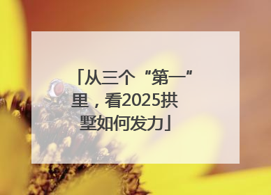 从三个“第一”里，看2025拱墅如何发力