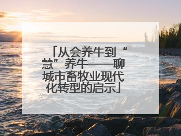 从会养牛到“慧”养牛——聊城市畜牧业现代化转型的启示