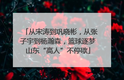从宋涛到巩晓彬，从张子宇到杨瀚森，篮球逐梦山东“高人”不停歇
