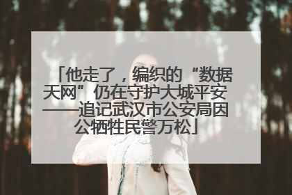 他走了，编织的“数据天网”仍在守护大城平安——追记武汉市公安局因公牺牲民警万松