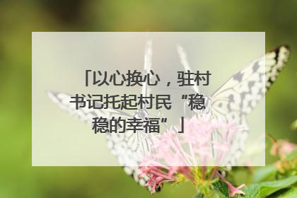 以心换心，驻村书记托起村民“稳稳的幸福”