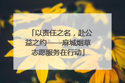 以责任之名，赴公益之约——麻城烟草志愿服务在行动