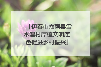 伊春市嘉荫县雪水温村厚植文明底色促进乡村振兴