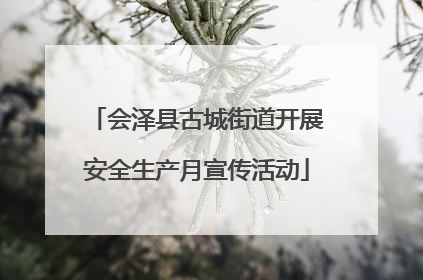 会泽县古城街道开展安全生产月宣传活动