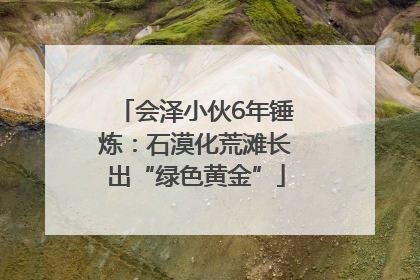 会泽小伙6年锤炼：石漠化荒滩长出“绿色黄金”
