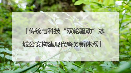 传统与科技“双轮驱动”冰城公安构建现代警务新体系