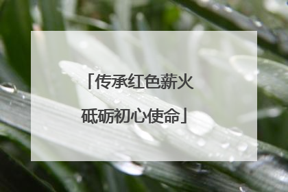传承红色薪火 砥砺初心使命
