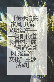 传承清廉家风 共筑文明端午——舞阳街道长春村开展“树道德新风 扬端午文化”主题活动