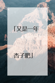 又是一年杏子肥