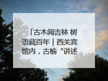 古木阅吉林 树语藏百年｜西关宾馆内，古榆“讲述”时光絮语