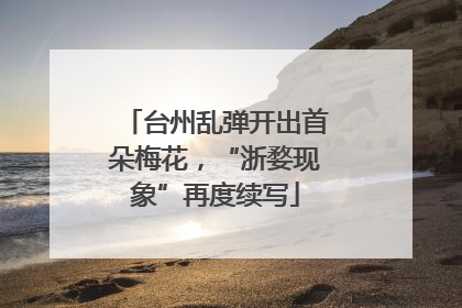 台州乱弹开出首朵梅花，“浙婺现象”再度续写