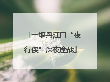 十堰丹江口“夜行侠”深夜鏖战