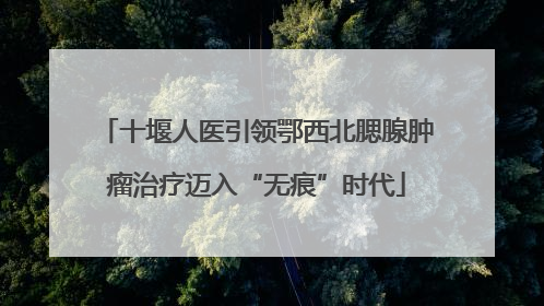 十堰人医引领鄂西北腮腺肿瘤治疗迈入“无痕”时代