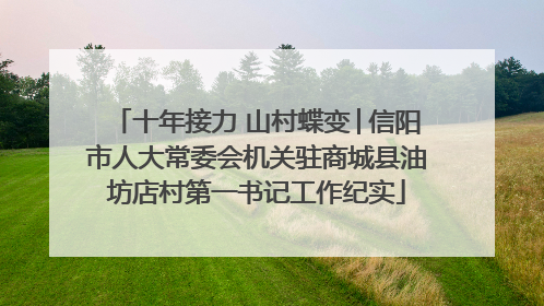 十年接力 山村蝶变│信阳市人大常委会机关驻商城县油坊店村第一书记工作纪实