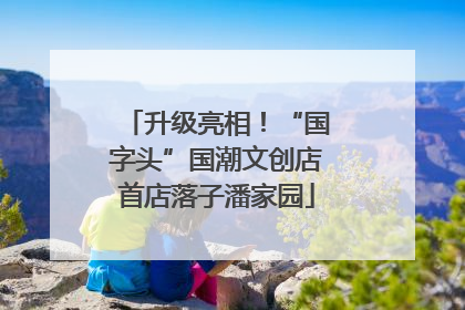 升级亮相！“国字头”国潮文创店首店落子潘家园