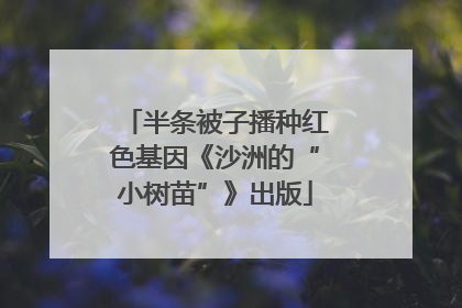 半条被子播种红色基因《沙洲的“小树苗”》出版