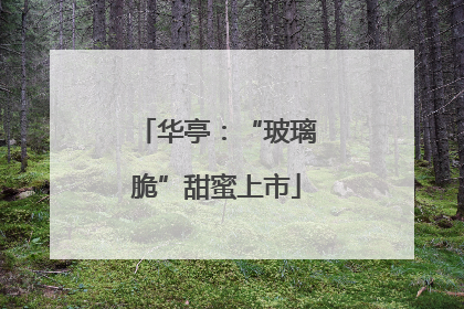 华亭：“玻璃脆”甜蜜上市