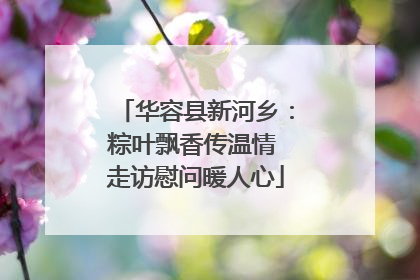 华容县新河乡：粽叶飘香传温情 走访慰问暖人心