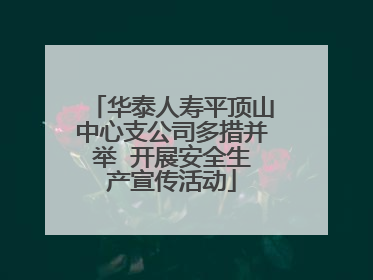 华泰人寿平顶山中心支公司多措并举  开展安全生产宣传活动