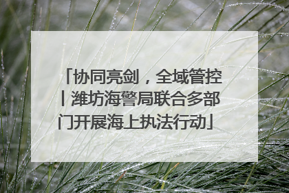 协同亮剑，全域管控丨潍坊海警局联合多部门开展海上执法行动
