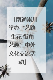 南通崇川举办“艺路生花·街角艺趣”中外文化交流活动