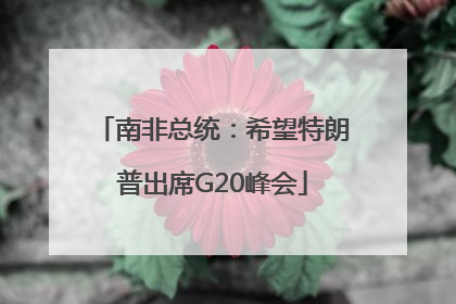 南非总统：希望特朗普出席G20峰会