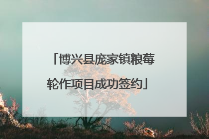 博兴县庞家镇粮莓轮作项目成功签约