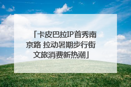 卡皮巴拉IP首秀南京路 拉动暑期步行街文旅消费新热潮
