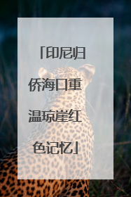 印尼归侨海口重温琼崖红色记忆