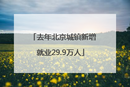 去年北京城镇新增就业29.9万人