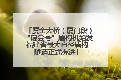 厦金大桥（厦门段）“厦金号”盾构机始发 福建省最大直径盾构隧道正式掘进