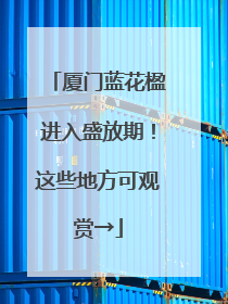 厦门蓝花楹进入盛放期！这些地方可观赏→