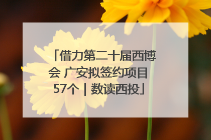 借力第二十届西博会 广安拟签约项目57个｜数读西投