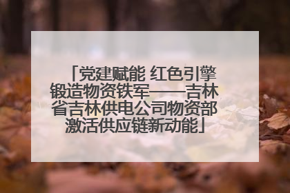 党建赋能 红色引擎锻造物资铁军——吉林省吉林供电公司物资部激活供应链新动能