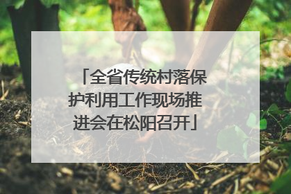 全省传统村落保护利用工作现场推进会在松阳召开